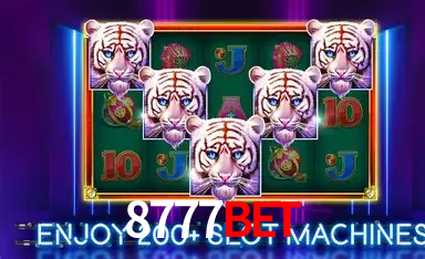 APP oficial da 8777bet para mobile
